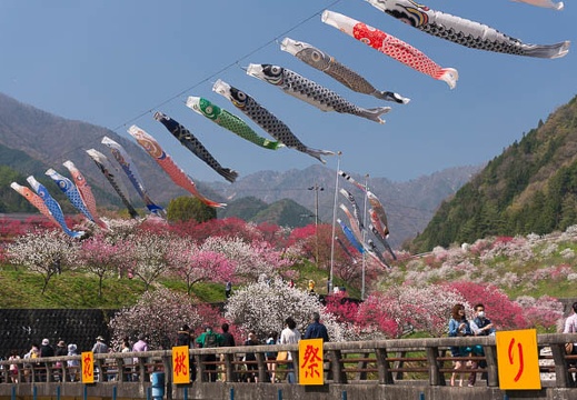 201504260931-DSC00383N6.jpg