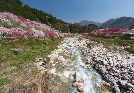 201504261003-DSC01195N5R.jpg