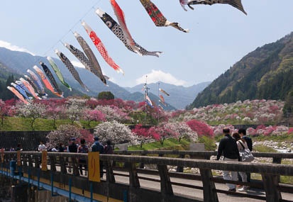 201504261218-DSC00575N6.jpg