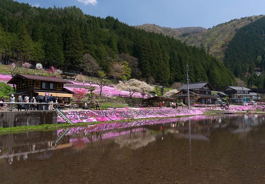 201504271144-DSC00793N6.jpg