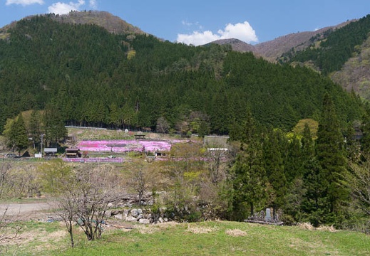 201504271235-DSC00854N6.jpg