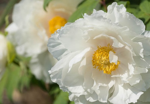 201504271413-DSC08711.jpg