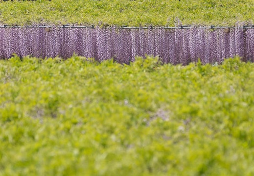 201504281132-DSC08755.jpg
