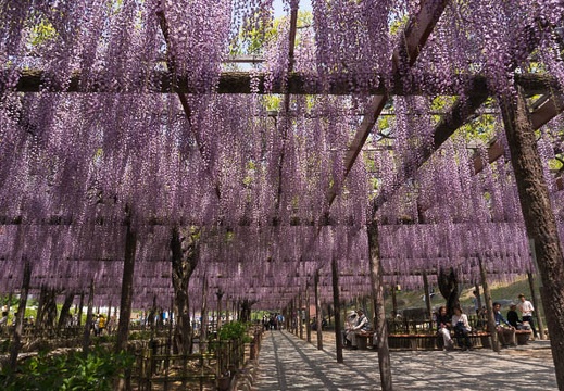 201504281140-DSC00956N6.jpg