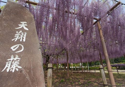 201504281246-DSC01070N6.jpg