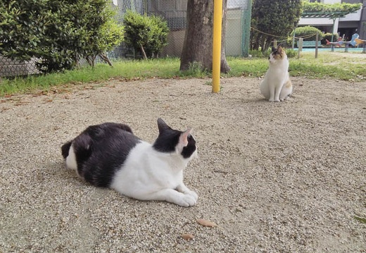 20150429101017-SH-06F.jpg