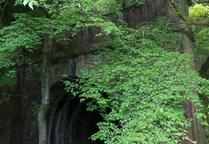 201504301326-DSC00156R10.jpg