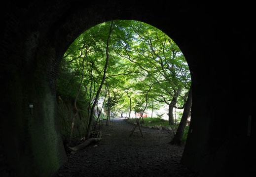 201504301329-DSC00166R10.jpg