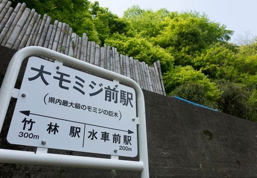 201504301334-DSC00178R10.jpg