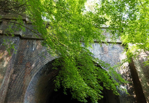 201504301406-DSC00225R10.jpg