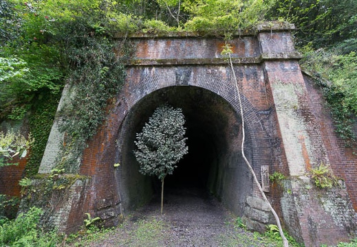 201504301414-DSC01246N6.jpg