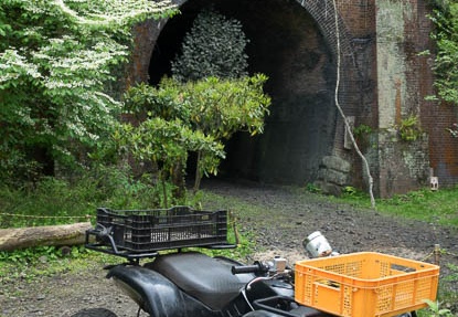 201504301419-DSC00244R10.jpg