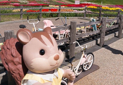 201505010932-DSC01324N6.jpg