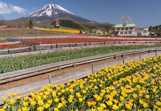 201505010944-DSC01342N6.jpg