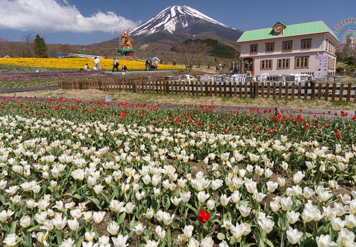 201505010948-DSC01350N6.jpg