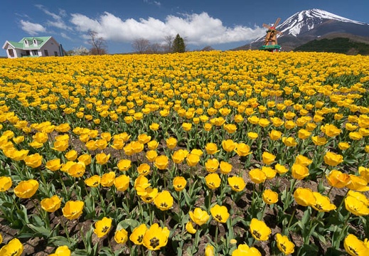 201505010951-DSC01400N5R.jpg
