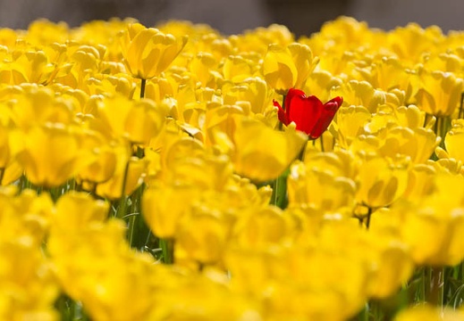 201505010958-DSC09014.jpg