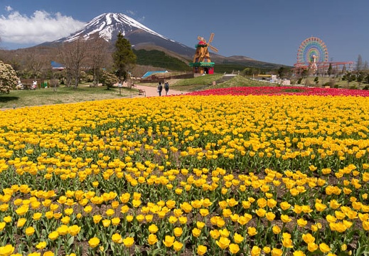 201505011005-DSC01377N6.jpg