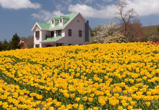 201505011012-DSC01389N6.jpg
