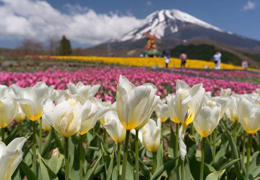 201505011016-DSC01406N6.jpg