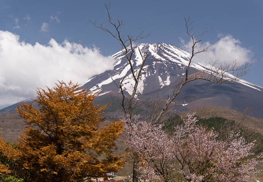 201505011031-DSC01446N6.jpg