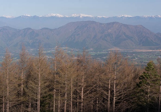 201505020648-DSC01960N6.jpg
