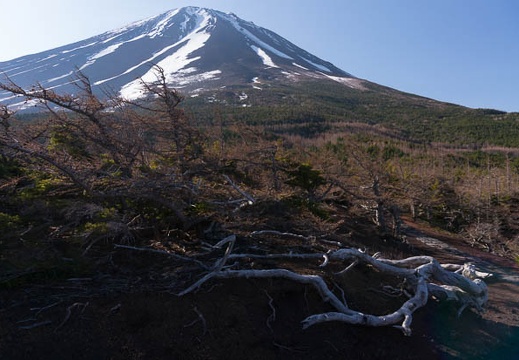 201505020716-DSC01986N6.jpg