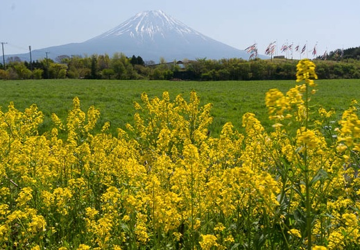 201505020950-DSC02052N6.jpg
