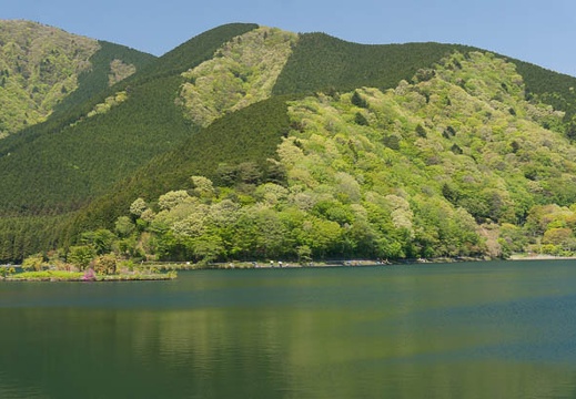 201505021018-DSC02062N6.jpg