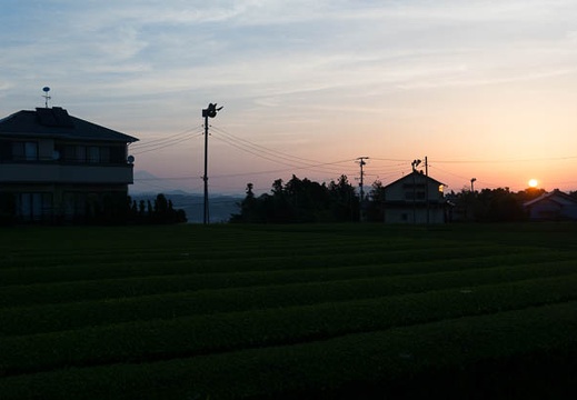 201505030502-DSC02274N6.jpg