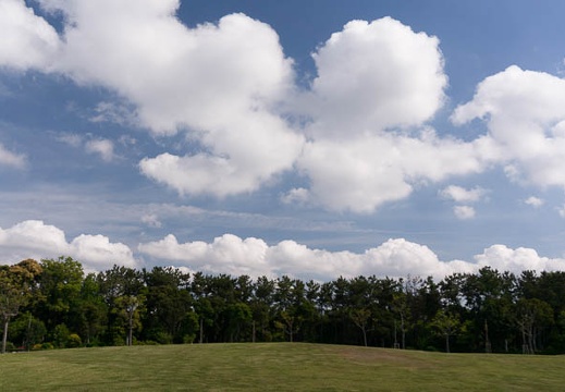 201505030832-DSC02373N6.jpg