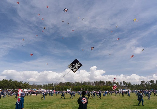 201505031012-DSC02473N6.jpg