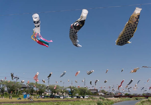 201505051318-DSC02607N6.jpg