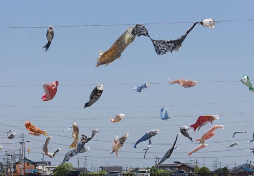 201505051318-DSC09681.jpg