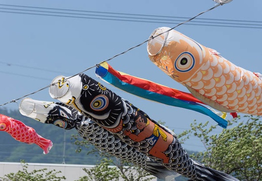 201505051322-DSC09696.jpg