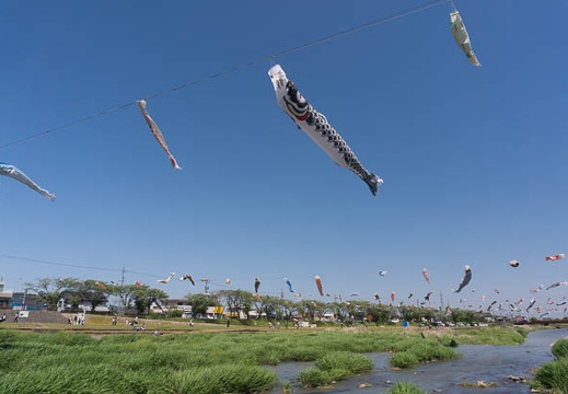 201505051324-DSC02622N6.jpg