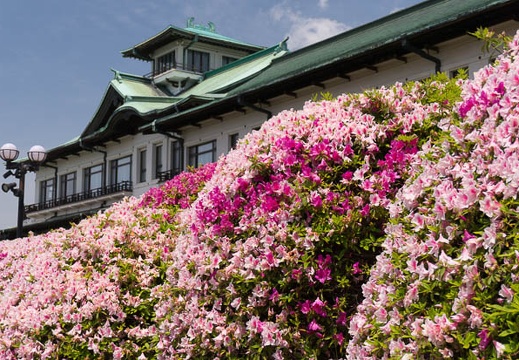 201505061154-DSC02879N6.jpg