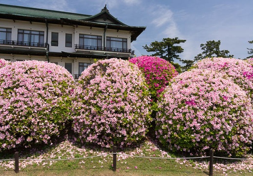 201505061156-DSC02887N6.jpg