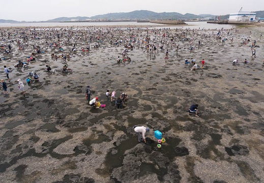 201505061248-DSC02952N6.jpg