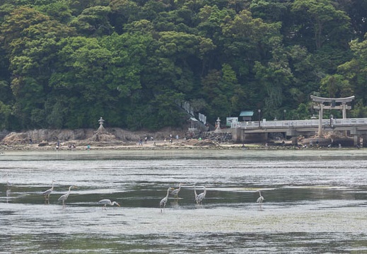 201505061301-DSC09996.jpg