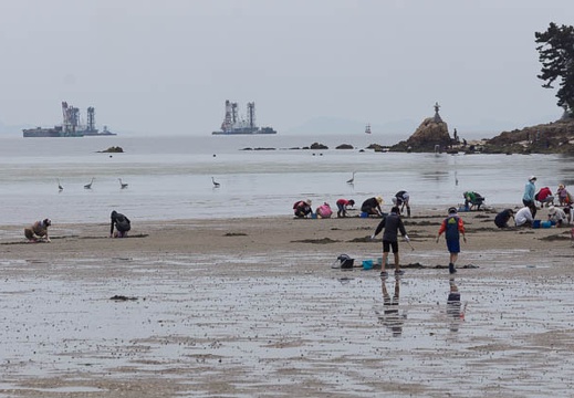 201505061308-DSC00014.jpg
