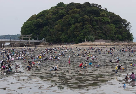 201505061332-DSC00025.jpg