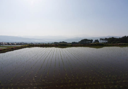 201505100729-DSC03002N6.jpg