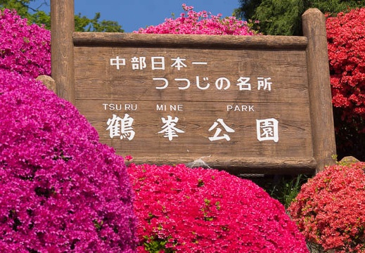 201505100923-DSC00266.jpg