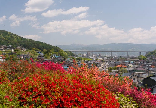201505101056-DSC03211N6.jpg