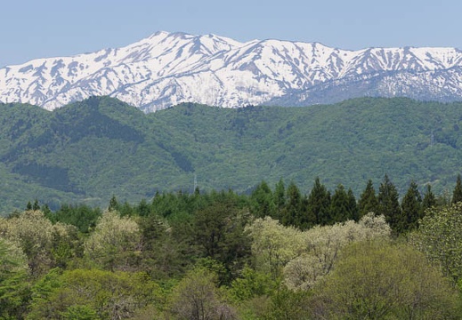 201505141115-DSC00482.jpg