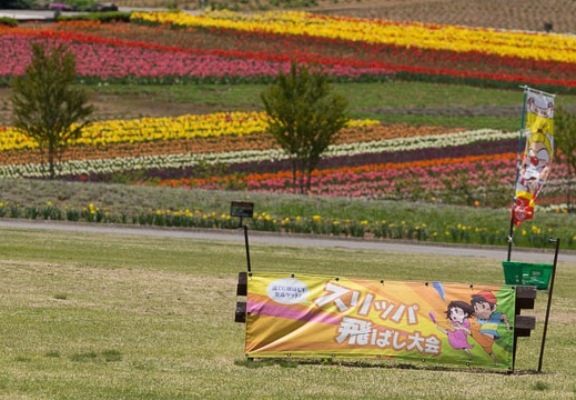 201505141136-DSC00508.jpg