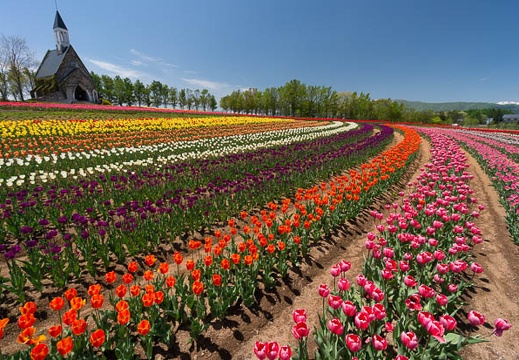 201505141150-DSC01679N5R.jpg