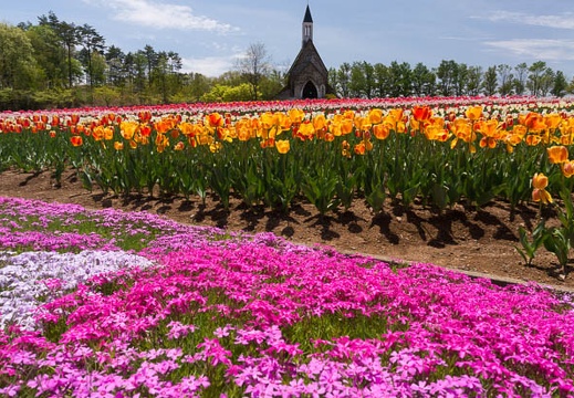 201505141202-DSC03424N6.jpg