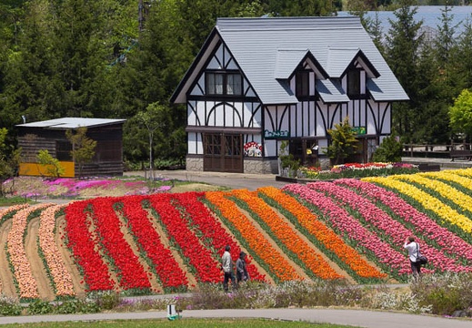 201505141213-DSC00556.jpg